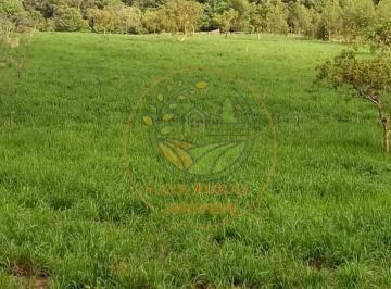 Imagem 1 · Fazenda