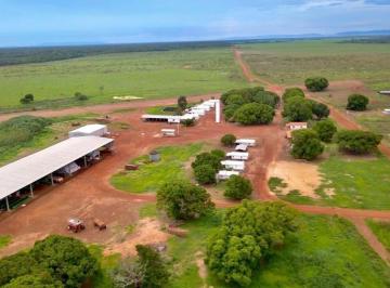 Imagem 1 · Fazenda