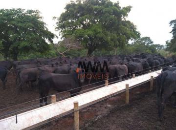 Imagem 1 · Fazenda
