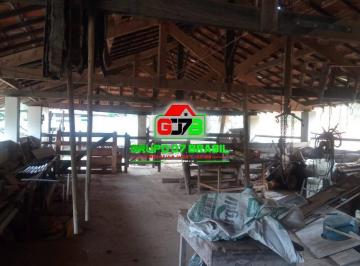 Imagem 1 · Fazenda