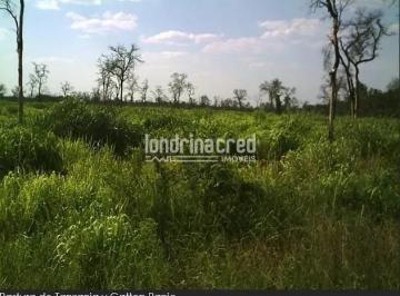 Imagem 1 · Fazenda