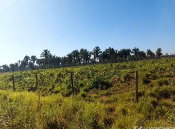 Imagem 1 · Fazenda para venda em Araguatins