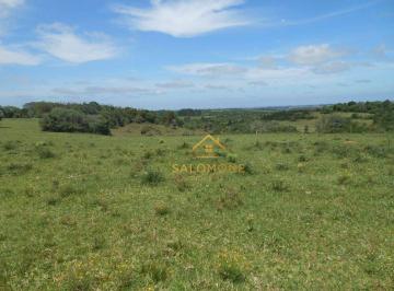 Imagem 1 · Fazenda