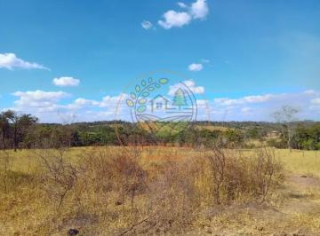 Imagem 1 · Fazenda