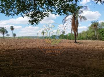 Imagem 1 · Fazenda