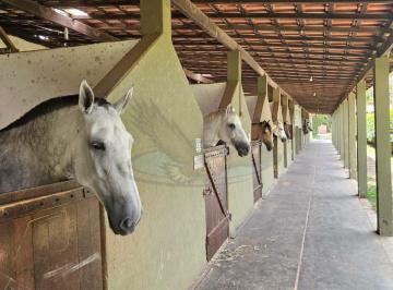 Imagem 1 · Fazenda