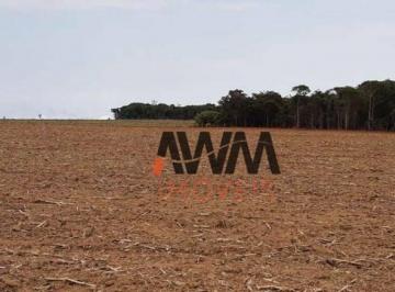 Imagem 1 · Fazenda