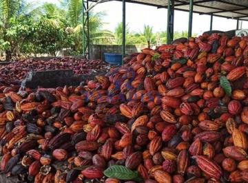 Imagem 1 · Fazenda