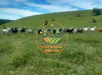 Imagem 1 · Fazenda para venda em Centro, Cruzeiro