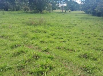 Imagem 1 · Fazenda