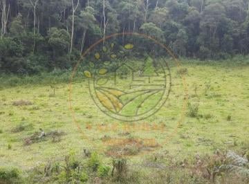 Imagem 1 · Sítio para venda em Centro, Bom Jardim de Minas