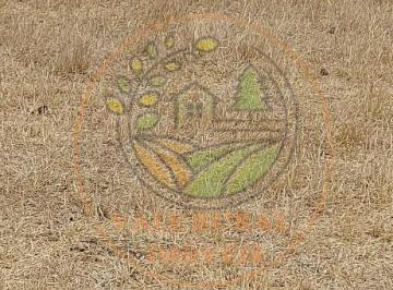 Imagem 1 · Fazenda