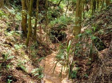 Imagem 1 · Fazenda