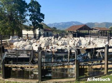 Imagem 1 · Fazenda