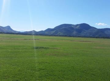 Imagem 1 · Fazenda
