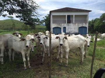 Imagem 1 · Fazenda