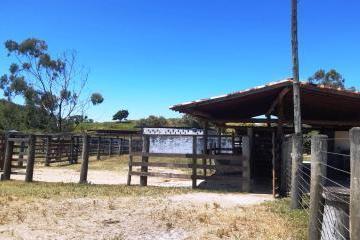 Imagem 1 · Fazenda