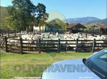 Imagem 1 · Fazenda