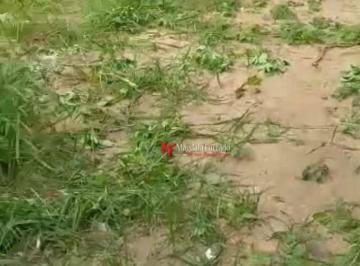 Imagem 1 · Terreno para venda em Cabo Frio