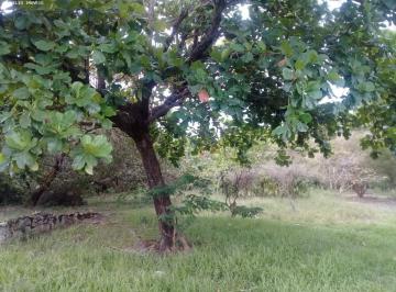 Imagem 1 · Terreno
