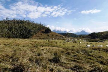 Imagem 1 · Fazenda