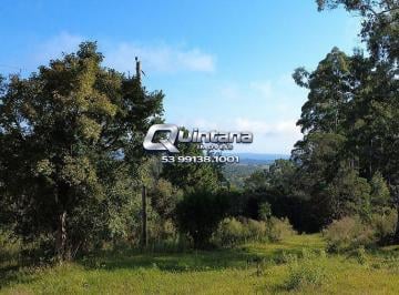 Rural · 60000m² · 2 Quartos · Área Rural 6ha na Cascata | Próx. BR | Energia Trifásica