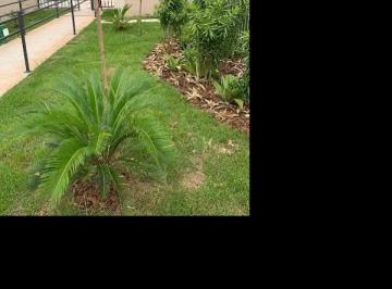 Photo_0 · 
                Oportunidade Única em RIO DE JANEIRO - RJ | Tipo: Apartamento | Negociação: Venda D