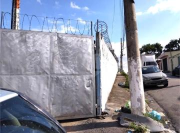 Terreno · 485m² · 12 Vagas · Terreno à venda em Jardim ivana - SP