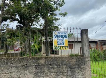 2ffad641bc44effad019fefb8a8e870c.jpeg · Terreno, 403 m², em Roselândia