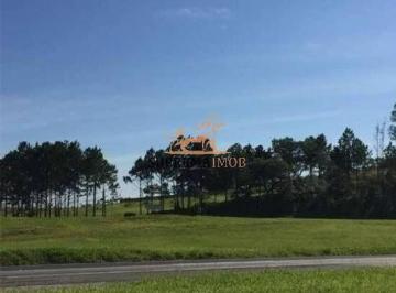 Terreno · 10900m² · Área com 10.900 m² á venda ou alugar na Rodovia Castelo Branco