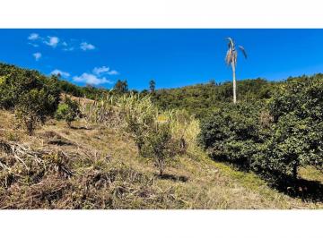 1.jpg ·
Sítio / Chácara para Venda no bairro Linha Quatro Cantos em Morro Reuter