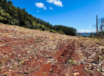 1.jpg · 
									Sítio / Chácara para Venda no bairro Linha Quatro Cantos em Morro Reuter
								