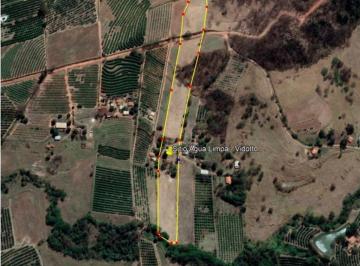 Rural de 4 quartos, Monte Alto · 50% Desconto - Sítio Água Limpa 4,31 Hectares Cultivo Limão - Monte Alto