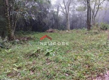 Terreno Venda 14000m²  · Lote em Estrada Geral - Samambaia - São Francisco de Paula/RS