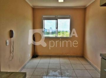 Apartamento · 32m² · 2 Quartos · APARTAMENTO COM 2 QUARTOS PARA LOCAÇÃO NO PARQUE NOVO MUNDO