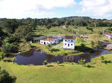 Foto 01 · FAZENDA PRONTA E PRODUZINDO CACAU EM ILHEUS - BA