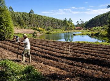 Rural , Piedade · Propriedade Exclusiva com 19 Alqueires, Nascentes e Estrutura Completa em Piedade/SP