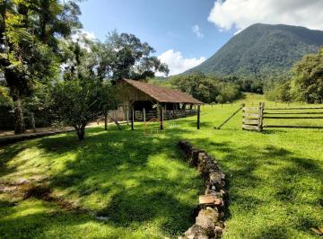 Foto 01 · Sitio, Dona Francisca (pirabeiraba), Joinville, SC