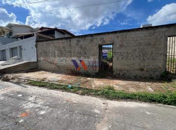 Terreno · 381m² · Lote de 381m², todo murado