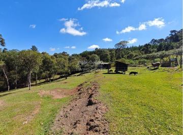 Comercial · 14543m² · 2 Quartos · 1 Vaga · Chácara a Venda SÃO BENTO DO SUL - SC