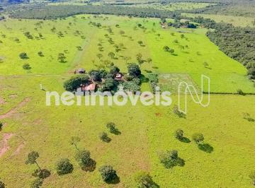 903bf78b-7ecb-458e-895f-9875a370d423.webp · Fazenda beira de pista a 22km de unai, 90 hectares e com pasto formado