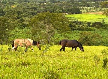 Rural de 6 quartos, Gama · EXCELENTE CHACARA PARA QUEM BUSCAR DESCANÇO
