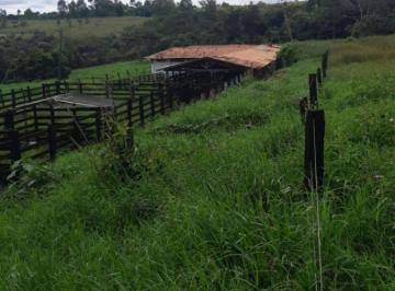 Rural , Cocalzinho de Goiás · FAZENDINHA À VENDA COM 8 ALQUEIRES – MUNICÍPIO DE COCALZINHO/GO