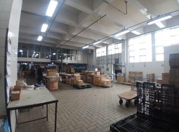 Comercial · 3500m² · 5 Vagas · predio comercial bairro sao judas