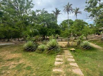 Rural en Venda · OPORTUNIDADE – VENDA DE ÁGIO DE LOTE - CAXIAS - MA
