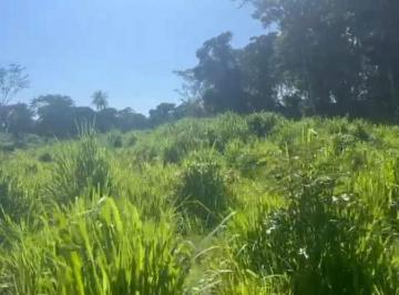 Rural · 3800000m² · 3 Quartos · 5 Vagas - Do Mato Imóveis · Fazenda 475 Hec para pecuaria   Anastacio MS