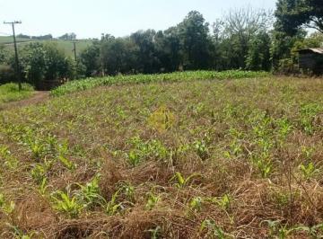 Terreno · 998m² · Lote à venda, Concórdia do Oeste - Toledo/PR