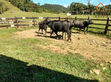 Imagem 1 · Fazenda