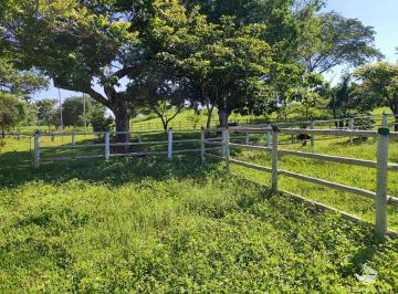 Imagem 1 · Fazenda