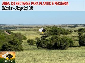 Rural · 120ha · Vende-se Fazenda Área Rural OPORTUNIDADE ÚNICA: 120 HECTARES EM ALEGRETE /RS!